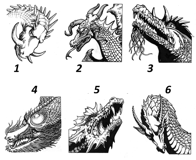 Six ink drawings of different dragon heads.