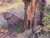 Havenwood Battleground
