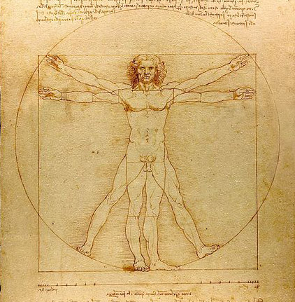 Leonardo da Vinci, Leonardo, da Vinci, art, anatomy, propotion