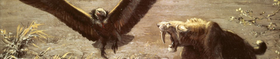 Smilodon, vulture, and a camel that isn't getting back up. Artwork of Charles R Knight, whose work influenced me considerably.