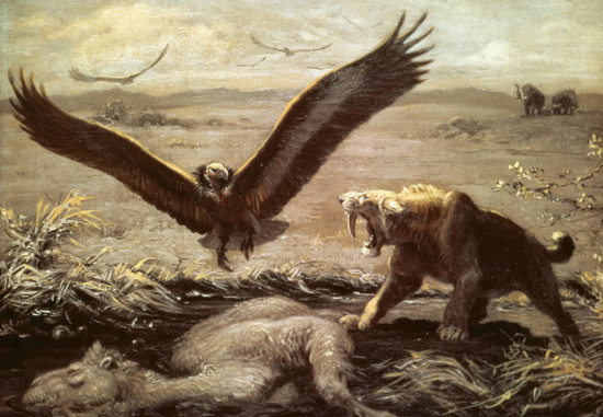 Smilodon, vulture, came, Charles R Knight, painting, paleontology, tar pits