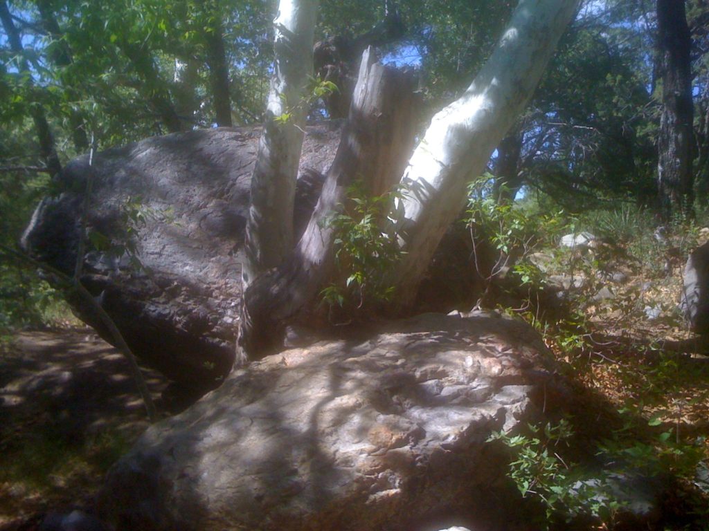 The photograph is actually mine, taken in Madera Canyon in southern Arizona. But it seems like the kind of place William would like to go trekking. hiking, desert, rocks, outdoors